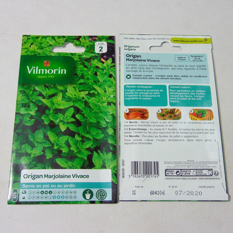 Exemple de spécimen de Origan - Marjolaine vivace - Vilmorin le sachet de 12000 graines (1g) tel que livré