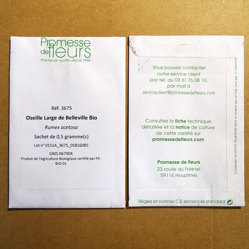 Exemple de spécimen de Oseille Large de Belleville Bio - Rumex acetosa le sachet de 500 graines (0.5g) tel que livré