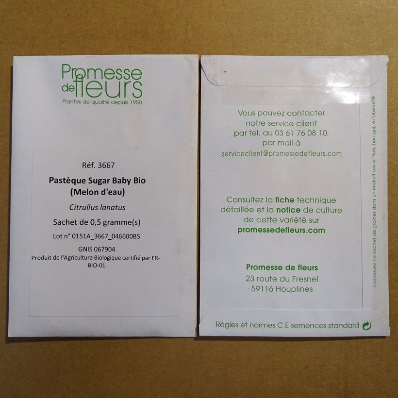 Exemple de spécimen de Pastèque Sugar Baby Bio (Melon d'eau) - Citrullus lanatus le sachet de 20 graines (1g) tel que livré