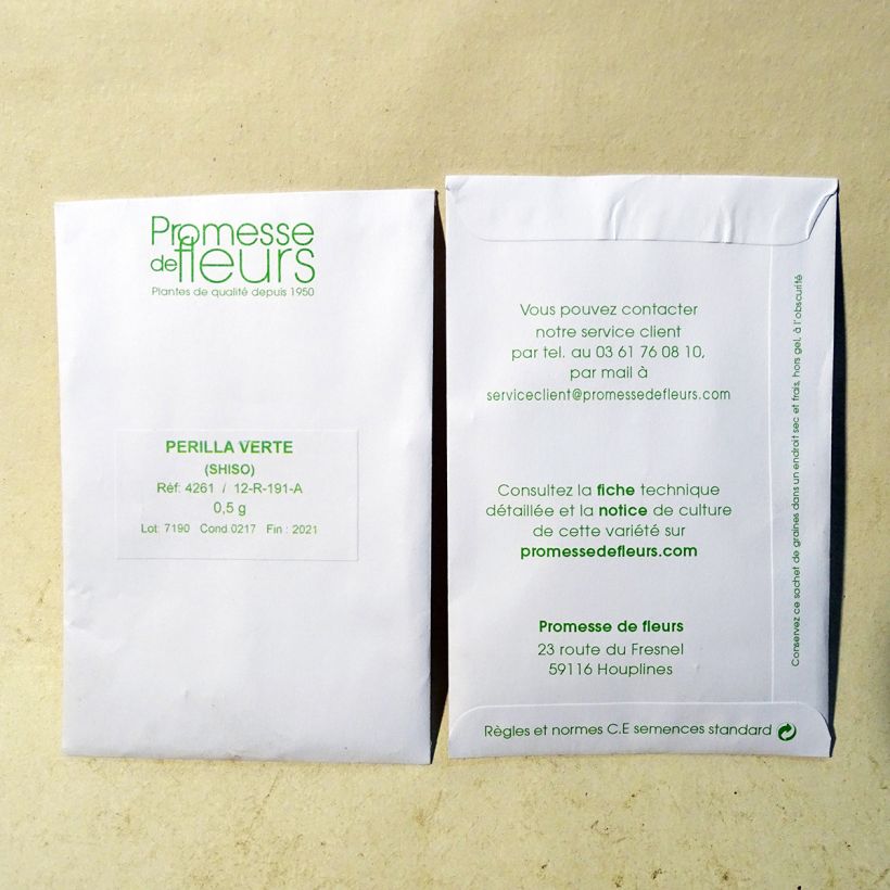 Exemple de spécimen de Perilla frutescens vert - Shiso (Tia To) le sachet de +/- 350 graines (minimum 0,5g) tel que livré