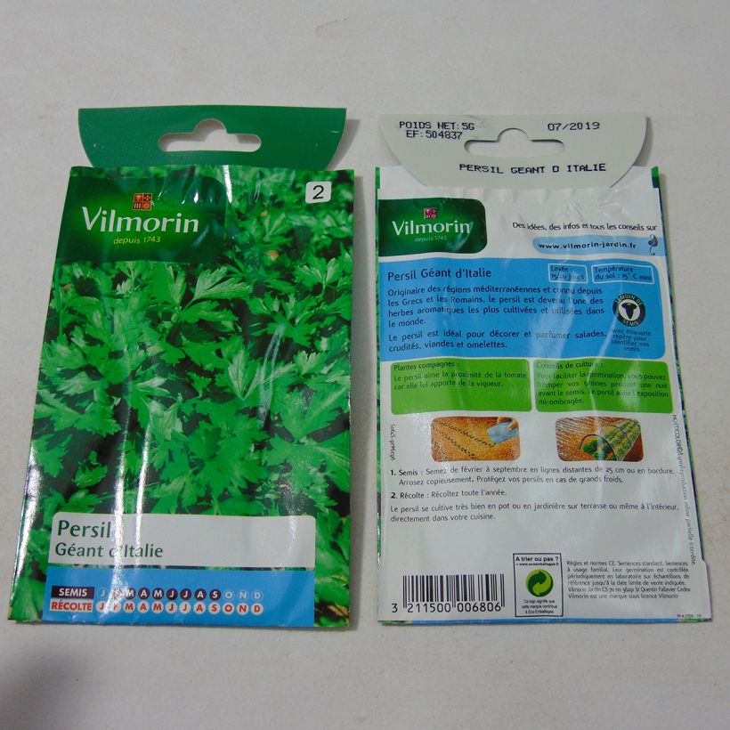 Exemple de spécimen de Persil Géant d'Italie - Vilmorin le sachet de 3000 graines (5g) tel que livré