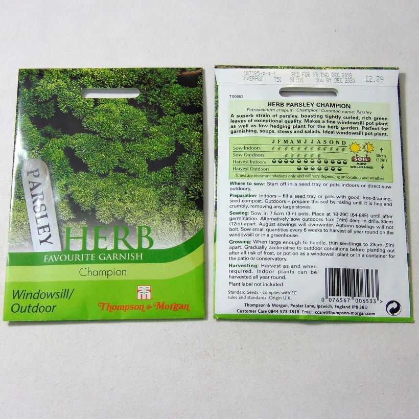 Exemple de spécimen de Persil frisé Champion le sachet de 1750 graines tel que livré