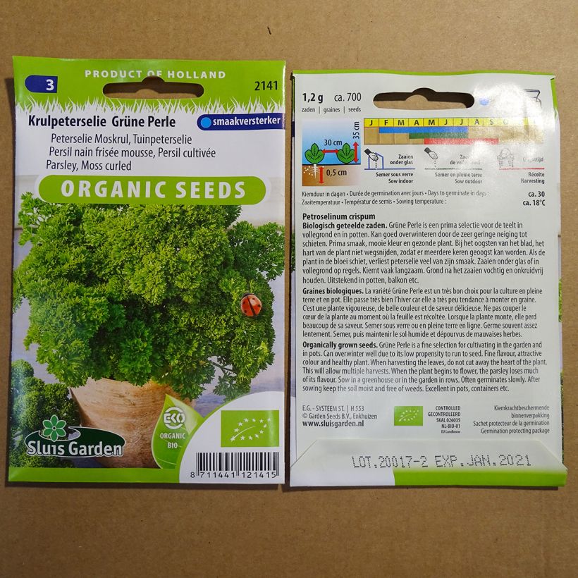 Exemple de spécimen de Persil frisé Grüne Perle Bio le sachet de 1200 graines (2g) tel que livré