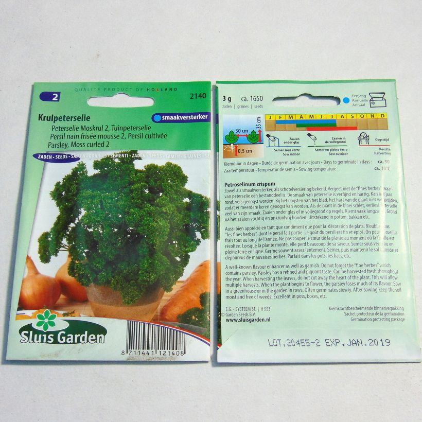 Exemple de spécimen de Persil nain frisé mousse 2 le sachet de 1650 graines (3g) tel que livré