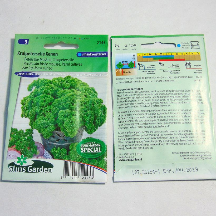 Exemple de spécimen de Persil nain frisé mousse Wega le sachet de 1650 graines (3g) tel que livré