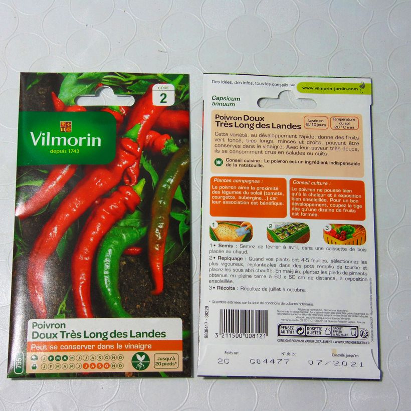 Exemple de spécimen de Piment doux très long des Landes - Poivron - Vilmorin le sachet de 240 graines (2g) tel que livré