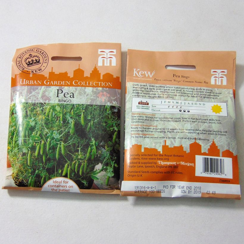 Exemple de spécimen de Pois demi-ramant Bingo le sachet de 100 graines tel que livré