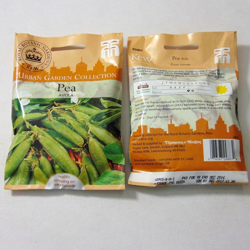 Exemple de spécimen de Pois nain Avola le sachet de 250 graines tel que livré