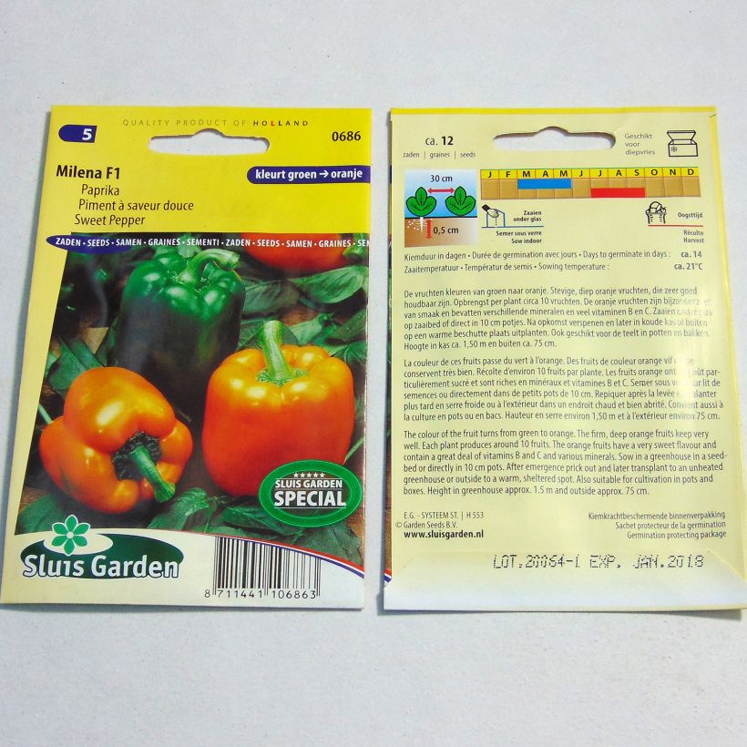 Exemple de spécimen de Poivron Deliro F1 - Piment à saveur douce le sachet de 12 graines tel que livré