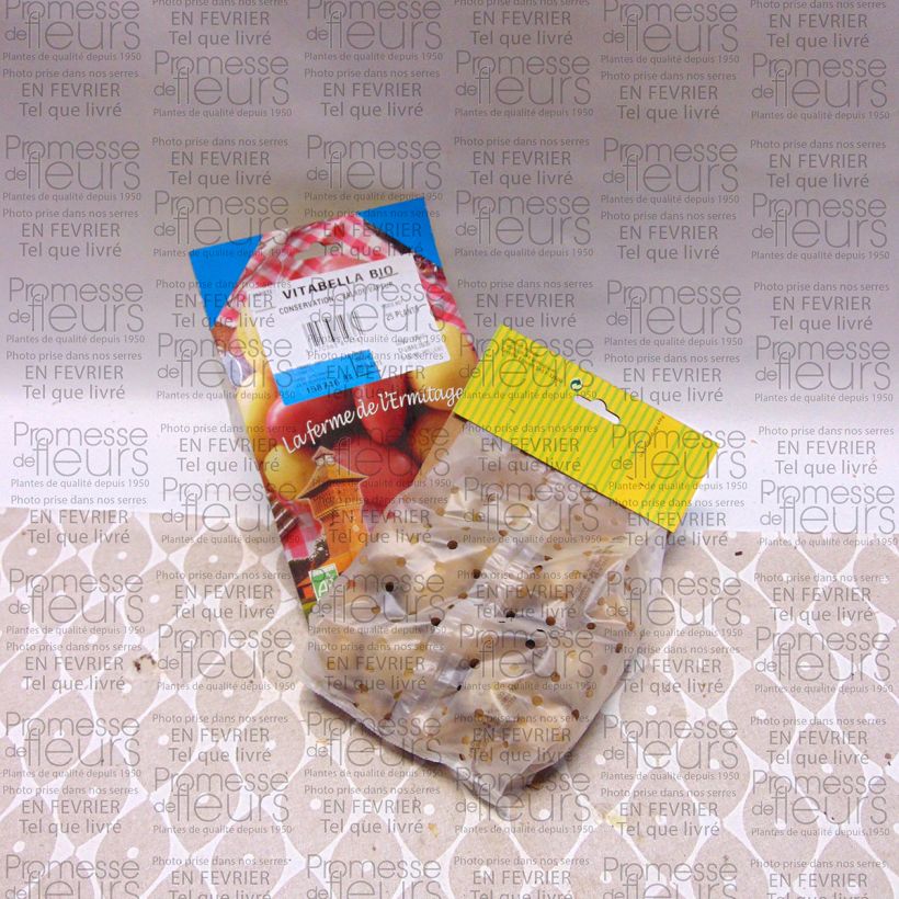 Exemple de spécimen de Pommes de terre Vitabella Bio - Solanum tuberosum Sac de 25 plants calibre 28/45 mm tel que livré