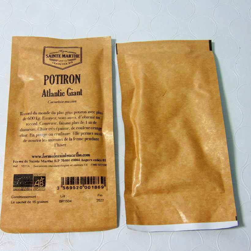 Exemple de spécimen de Potiron Atlantic Giant Bio - Courge Gargantua - Ferme de Sainte Marthe le sachet de 10 graines (4g) tel que livré