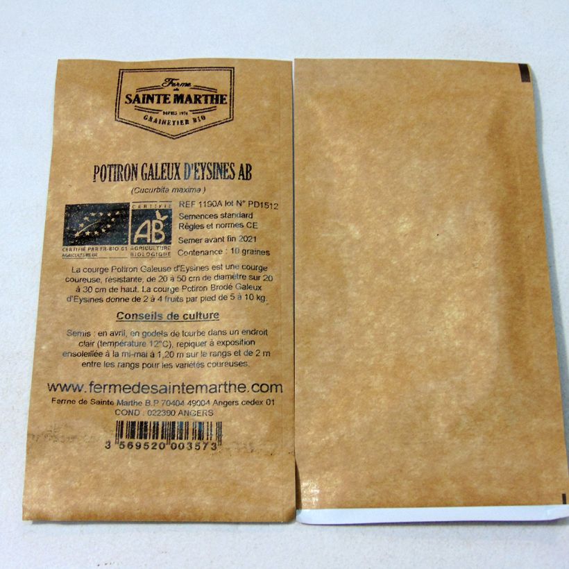Exemple de spécimen de Potiron Galeuse d'Eysines Bio - Ferme de Sainte Marthe le sachet de 10 graines (minimum 2g) tel que livré
