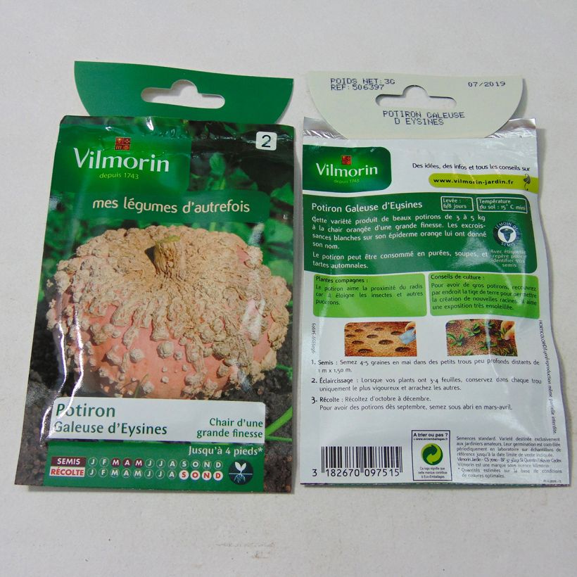 Exemple de spécimen de Potiron Galeuse d'Eysines - Vilmorin le sachet de 18 graines (3g) tel que livré