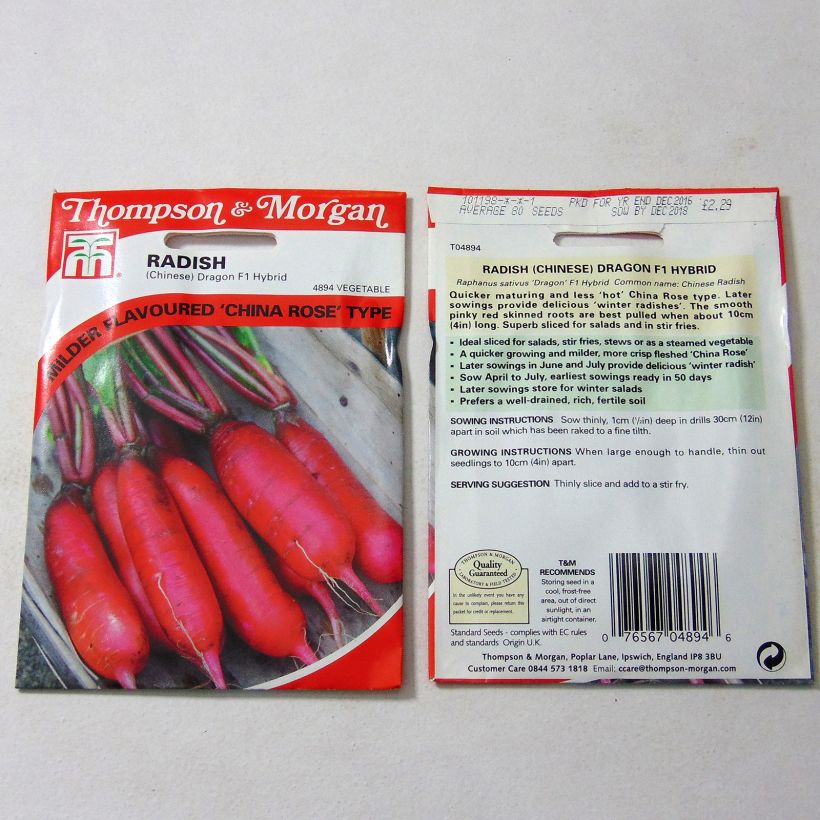 Exemple de spécimen de Radis Chinese Dragon F1  - Radis rose de Chine le sachet de 80 graines tel que livré