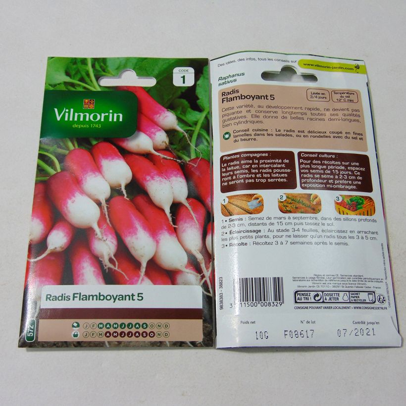 Exemple de spécimen de Radis Flamboyant 5 - Vilmorin le sachet de 800 graines (10g) tel que livré