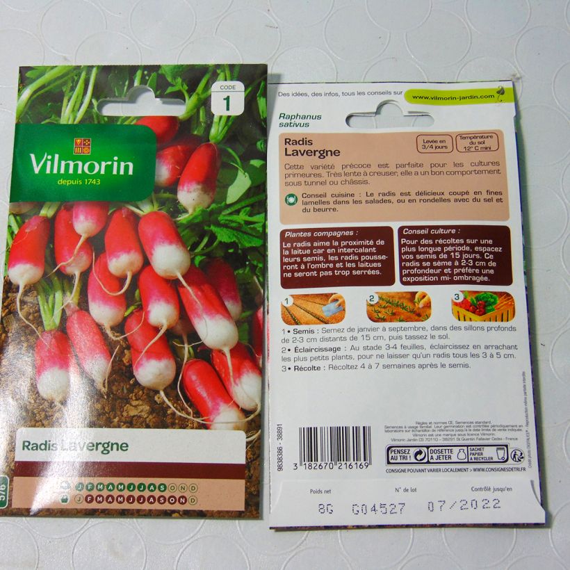 Exemple de spécimen de Radis Lavergne - Vilmorin le sachet de 640 graines (8g) tel que livré