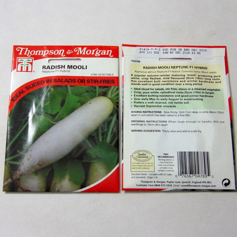 Exemple de spécimen de Radis Mooli Neptune F1 - Raphanus sativus le sachet de 100 graines tel que livré