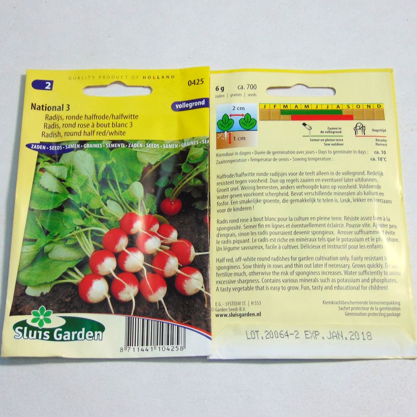 Exemple de spécimen de Radis Rond rose à bout blanc 3 - National 3 - Raphanus sativus le sachet de 700 graines (6g) tel que livré