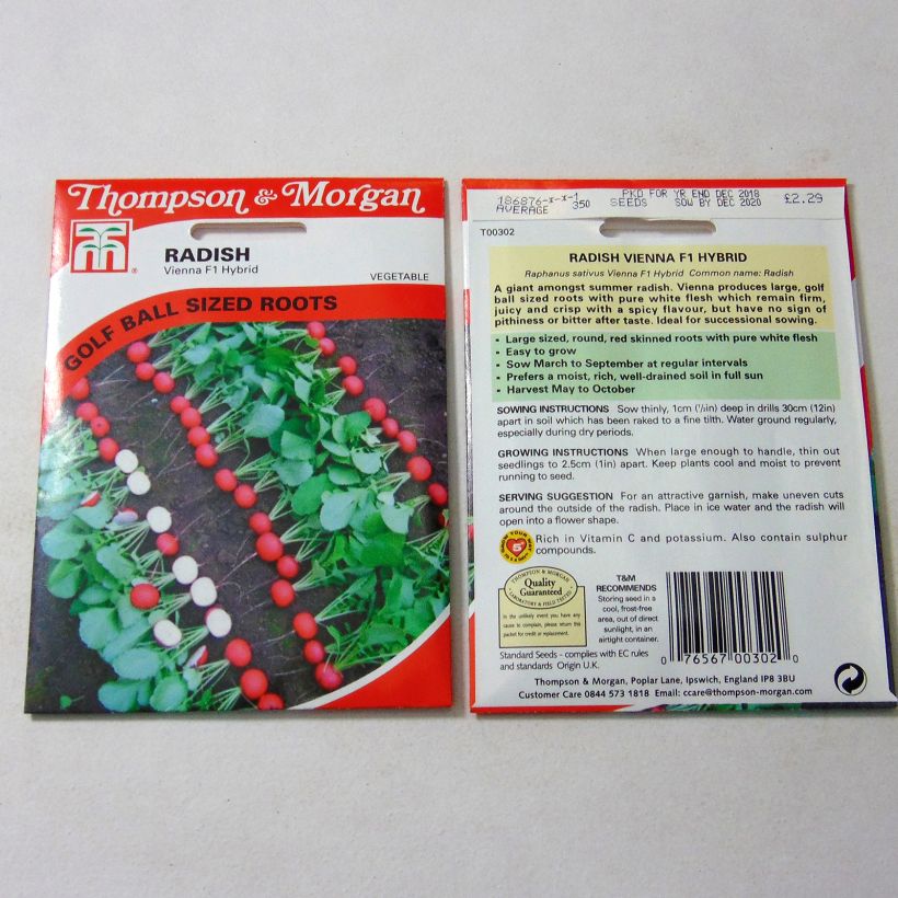 Exemple de spécimen de Radis Vienna F1 - Raphanus sativus le sachet de 350 graines tel que livré