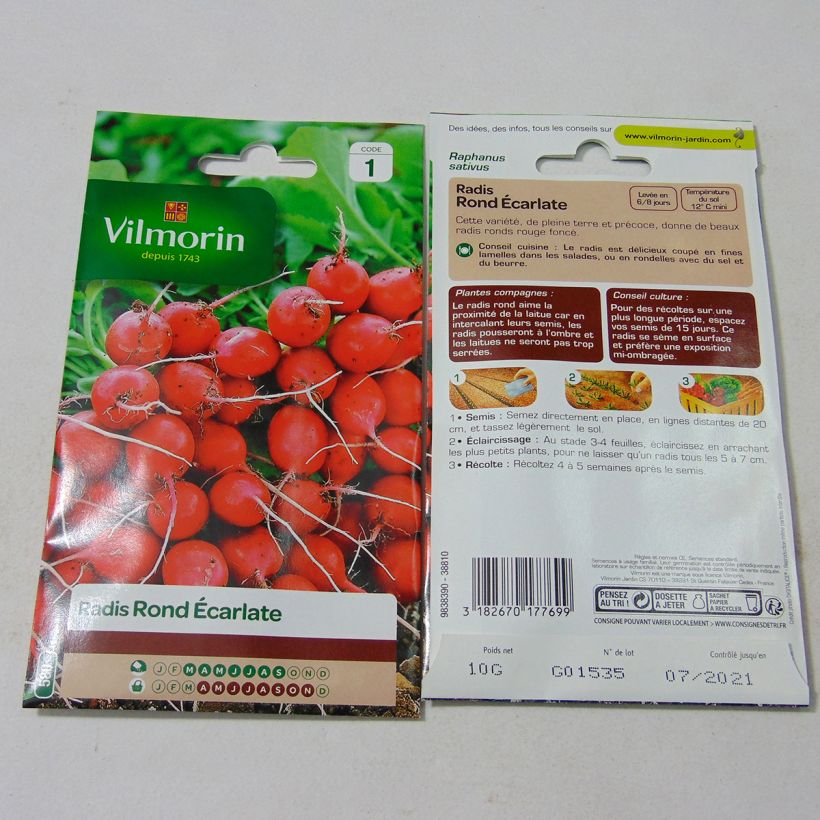 Exemple de spécimen de Radis rond écarlate - Vilmorin le sachet de 800 graines (10g) tel que livré