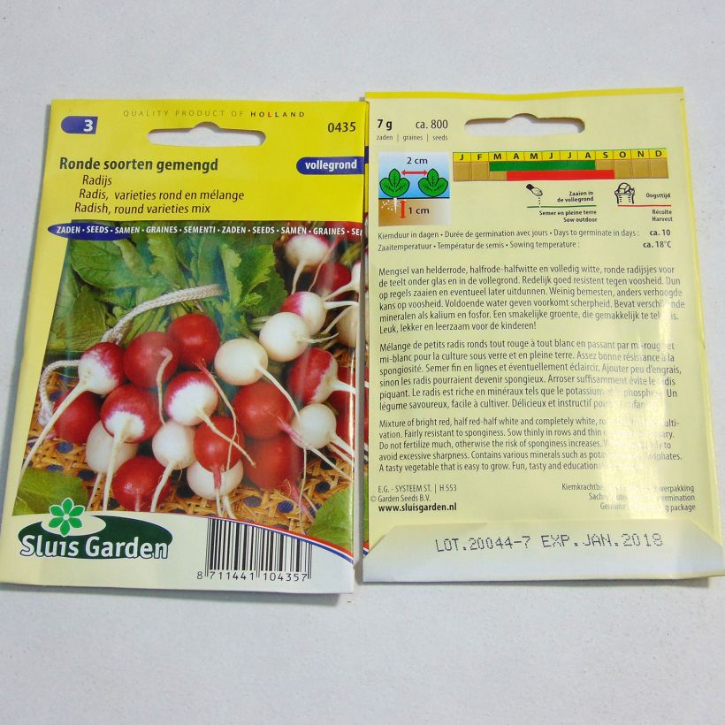 Exemple de spécimen de Radis variétés rond en mélange - Raphanus sativus le sachet de 800 graines (7g) tel que livré