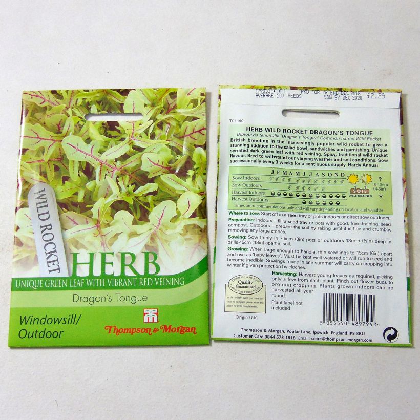 Exemple de spécimen de Roquette Dragons Tongue le sachet de 500 graines tel que livré