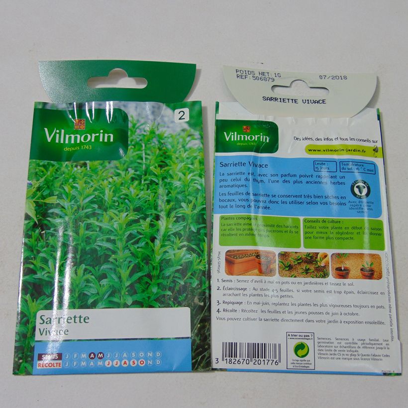 Exemple de spécimen de Sarriette vivace - Graines de Satureja montana  le sachet de 700 graines (0,4g) tel que livré