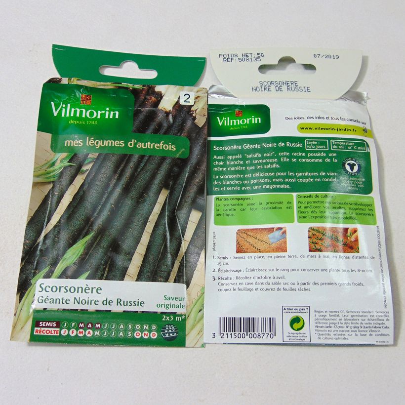 Exemple de spécimen de Scorsonère Géante Noire de Russie - Vilmorin le sachet de 400 graines (5g) tel que livré