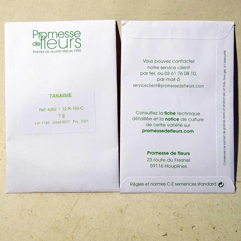 Exemple de spécimen de Tanaisie - Tanacetum vulgare le sachet de +/- 7000 graines (minimum 1g) tel que livré