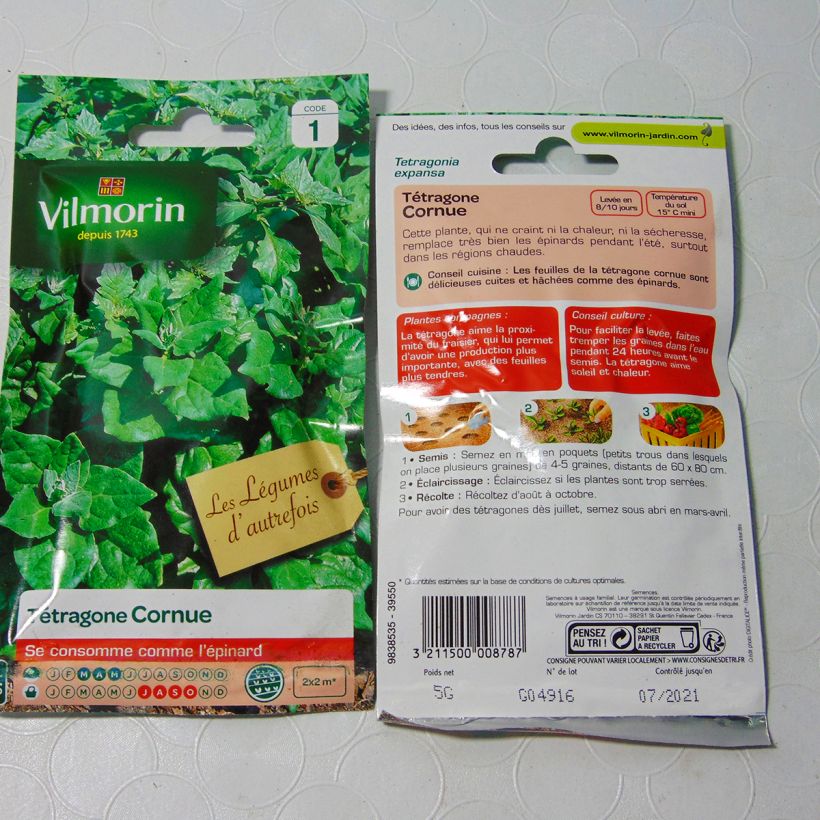 Exemple de spécimen de Tétragone cornue - Vilmorin le sachet de 75 graines (5g) tel que livré