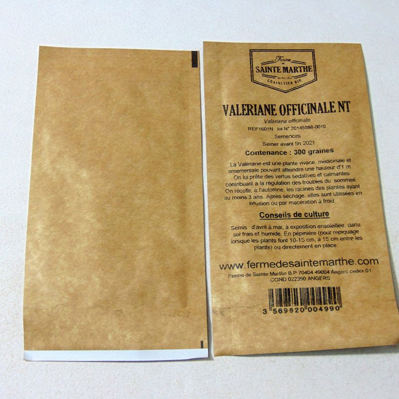 Exemple de spécimen de Valériane officinale NT - Ferme de Sainte Marthe le sachet de +/- 500 graines (minimum 0,4g) tel que livré