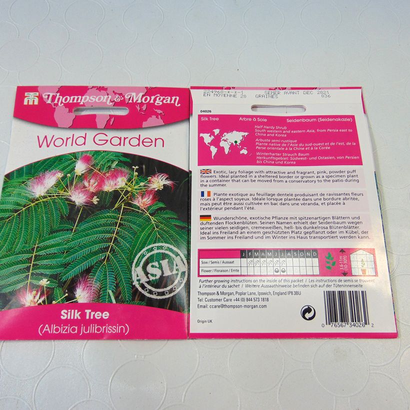 Exemple de spécimen de Graines d'Albizia julibrissin - Arbre à soie le sachet de 20 graines (minimum 1g) tel que livré