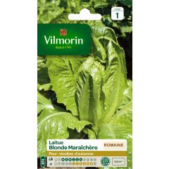 Laitue Romaine Blonde Maraîchère - Vilmorin