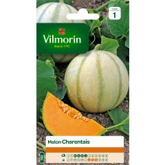 Melon Charentais - Vilmorin
