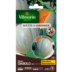 Melon Diabolo F1 - Vilmorin