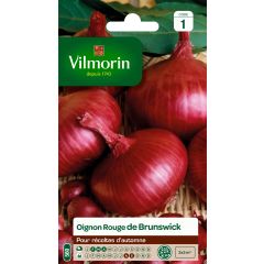 Oignon rouge de Brunswick - Vilmorin