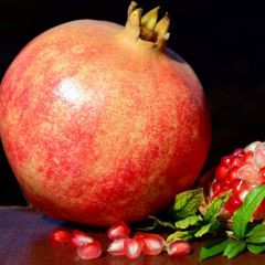 Grenadier à fruits - Punica granatum Malisi (=Malissi)