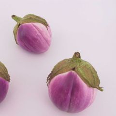 Aubergine Rotonda Bianca Sfumata Di Rosa Bio - Ferme de Sainte Marthe