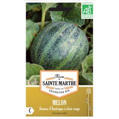 Melon Ananas d'Amérique à Chair Rouge Bio - Ferme de Sainte Marthe
