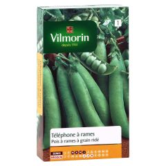 Pois à rames Téléphone à grains ridés - Vilmorin