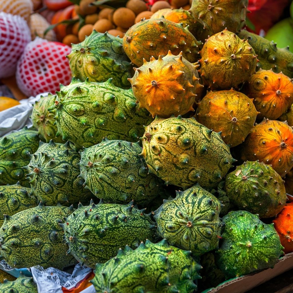 Concombre du Kenya - Métulon