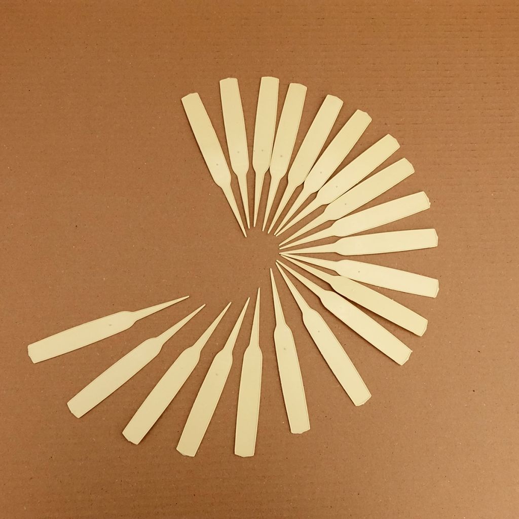 Etichetta stretta da piantare avorio