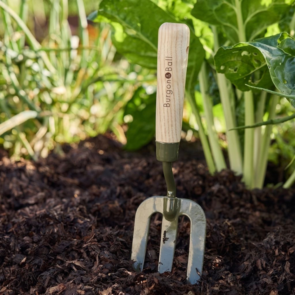 Fourche à Fleurs BoronGreen Burgon & Ball - Gamme RHS