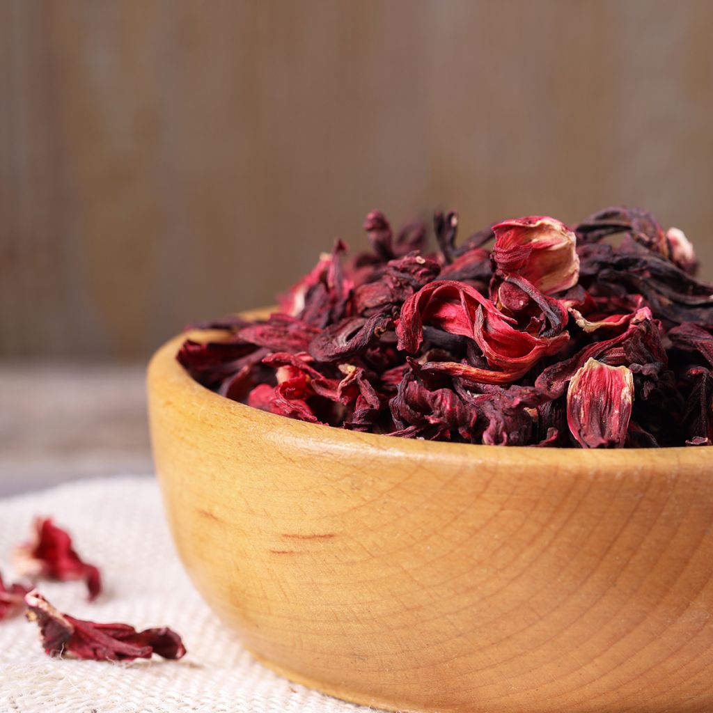 Graines d'Oseille de Guinée - Hibiscus sabdariffa
