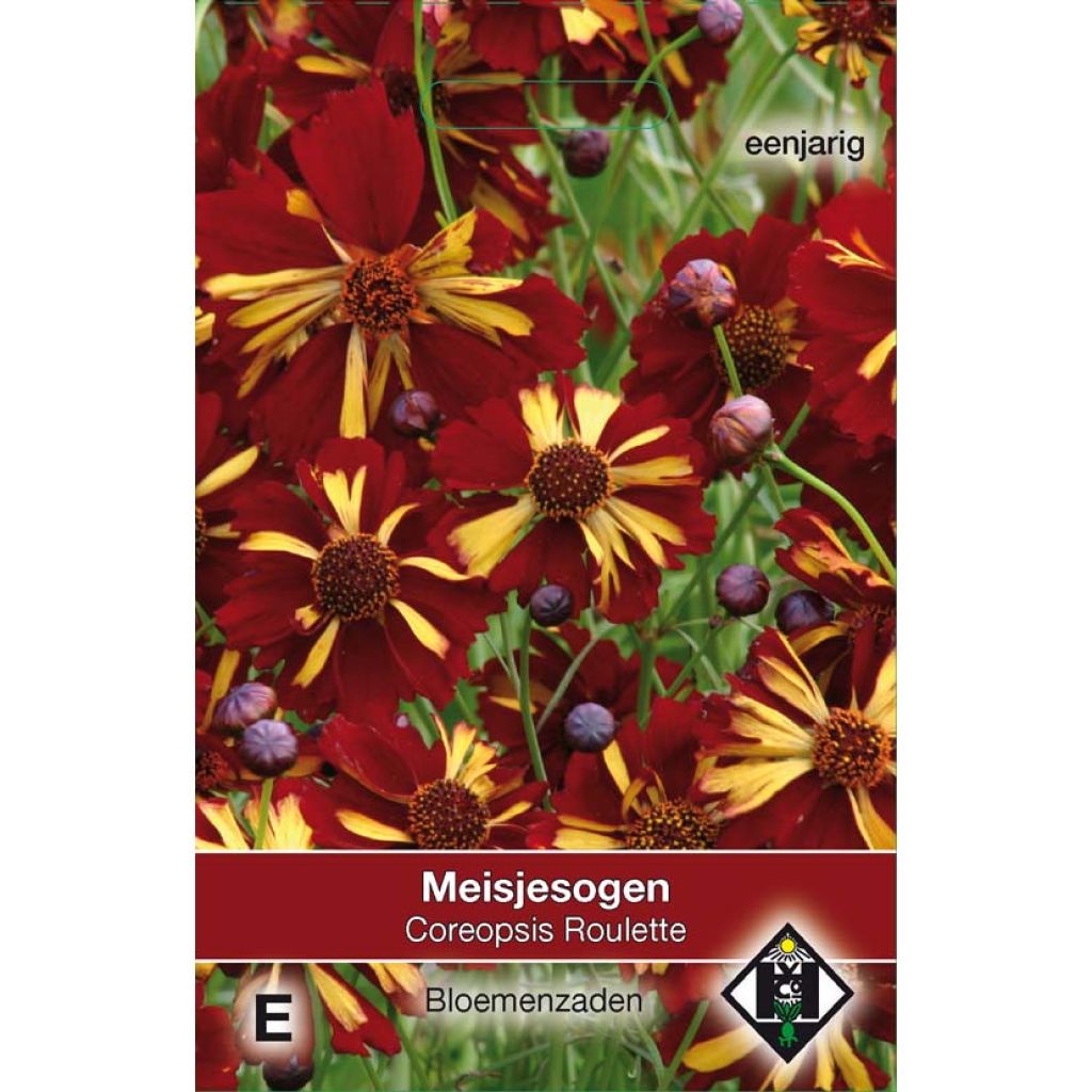 Graines de Coréopsis élégant Roulette - Coreopsis tinctoria Roulette