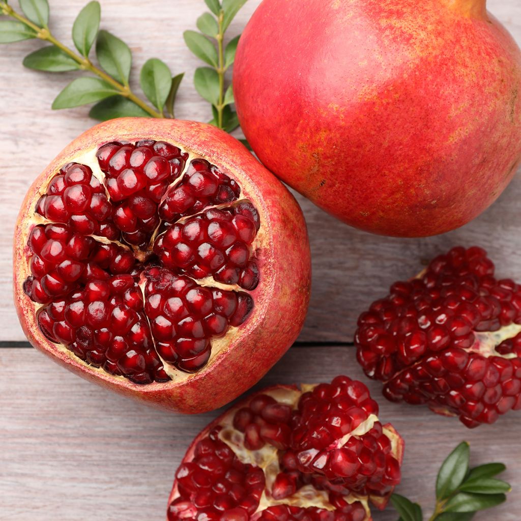 Grenadier à fruits - Punica granatum