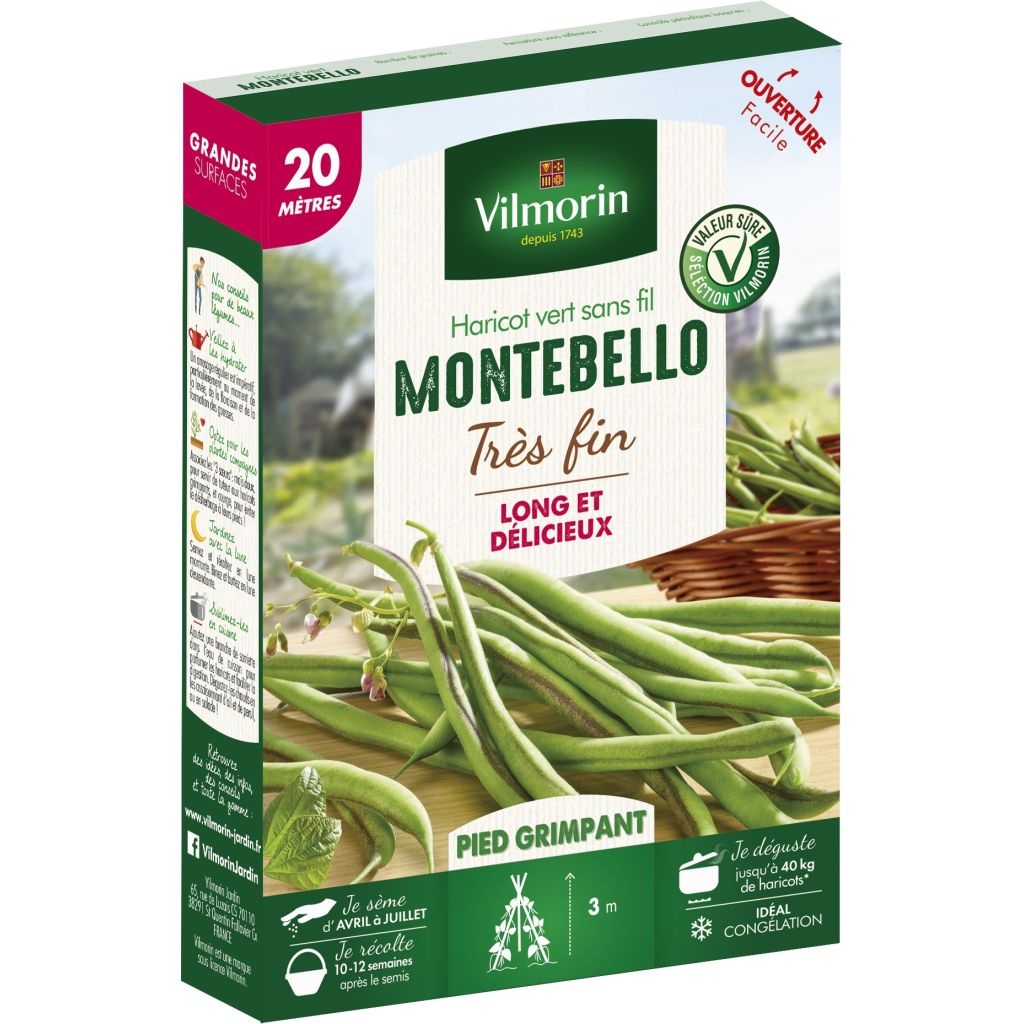 Haricot à rames à filet Montebello (Création Vilmorin) - Vilmorin
