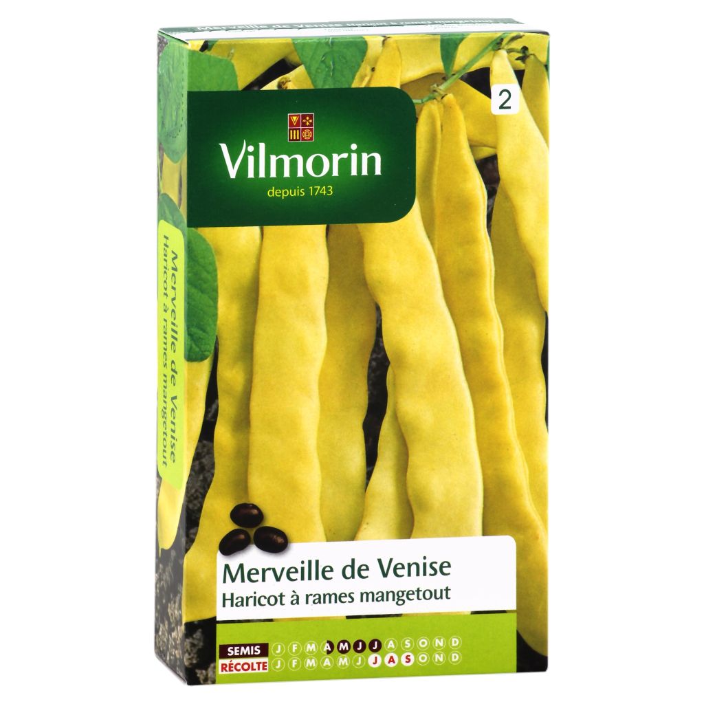 Haricot à rames mangetout beurre Merveille de Venise ou Or du Rhin - Vilmorin