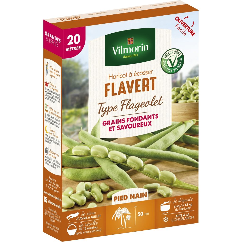 Haricot nain à écosser Flageolet Flavert (Création Vilmorin) - Vilmorin