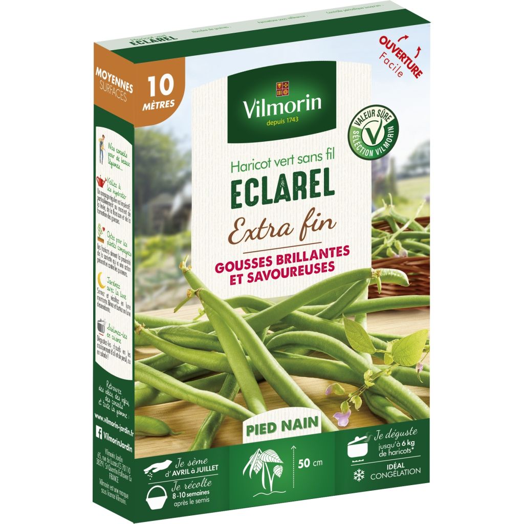 Haricot nain à filet Eclarel (Création Vilmorin) - Vilmorin